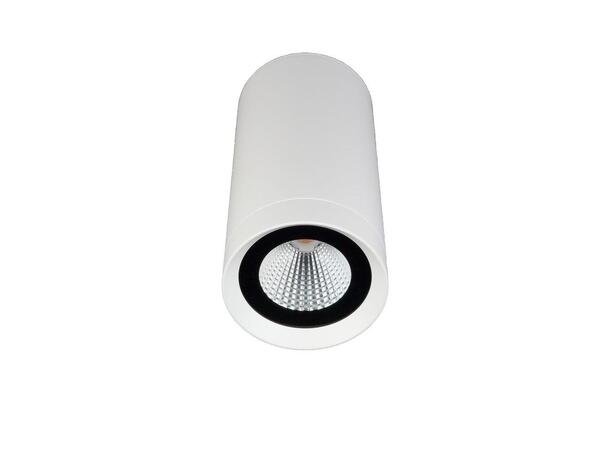 GEMINI 16W HVIT 3000K IP65 